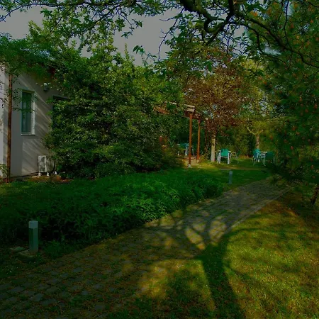 Rose Canine B&B-3
